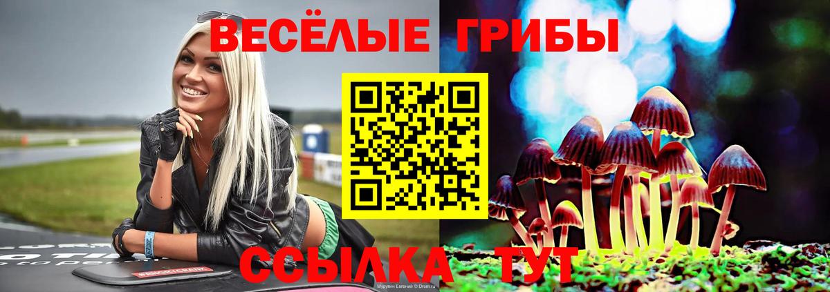 Псилоцибиновые грибы MAGIC MUSHROOMS Чернушка