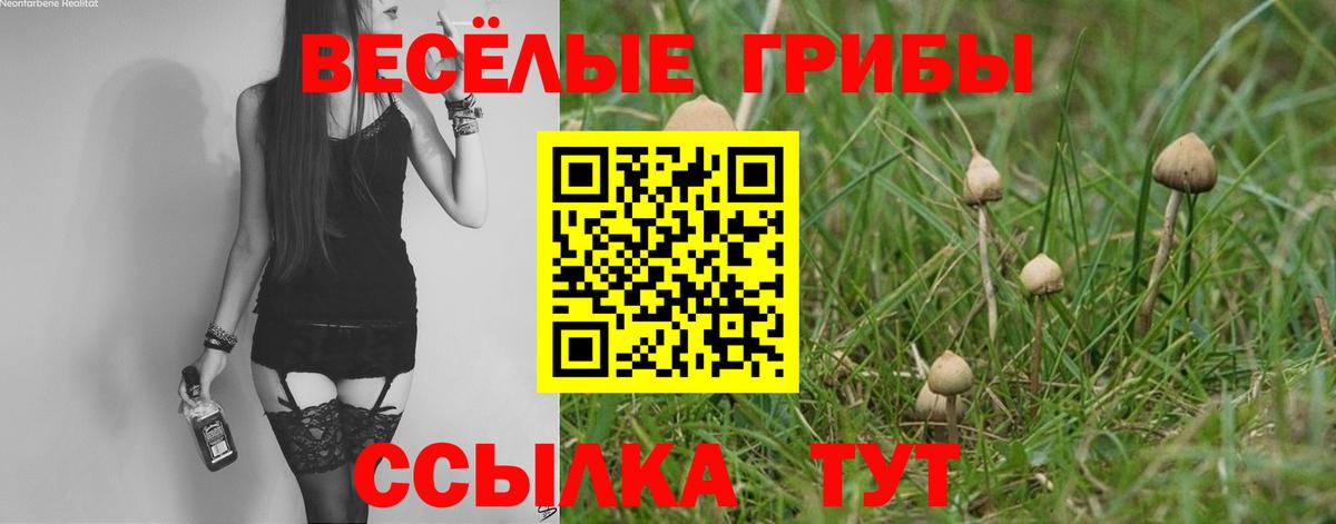 Галлюциногенные грибы MAGIC MUSHROOMS  Псилоцибиновые грибы мицелий  Вход с VPN  Чернушка 